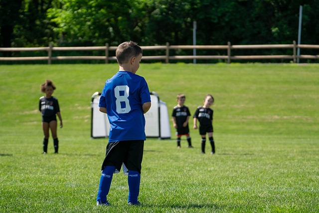 看到他们在 看到他们在