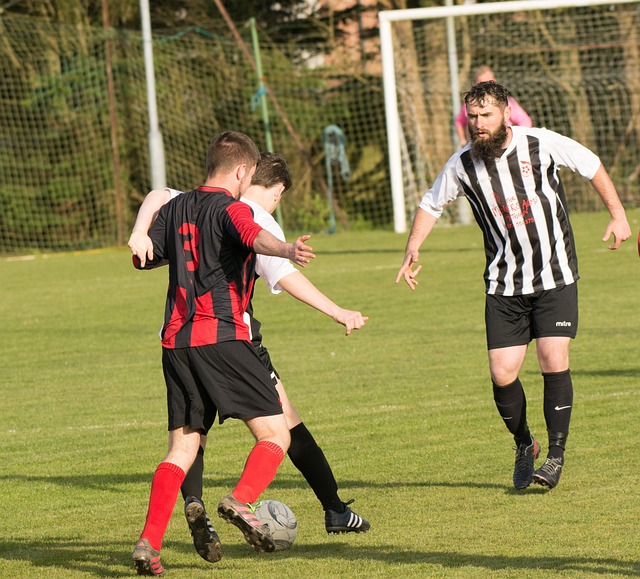 主席公開指 主席公開指