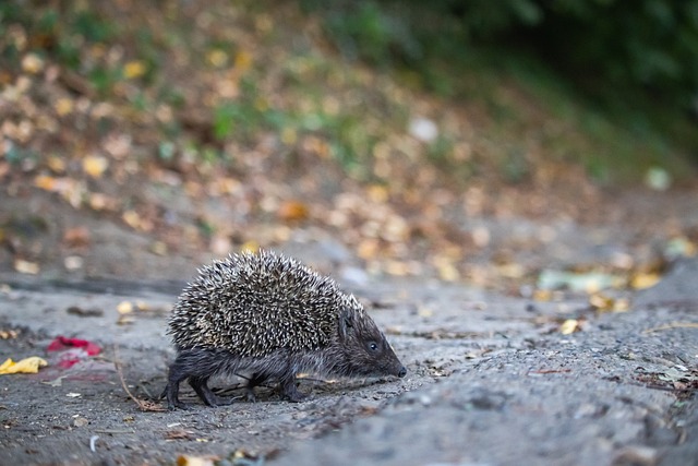 令不少人莞 令不少人莞